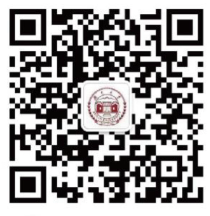 国际合作